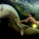 Illustration for article titled io9 Roundup: June 21, 2011